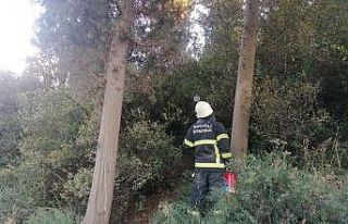 Ormanlık alanda yeniden çıkan yangını muhtar...