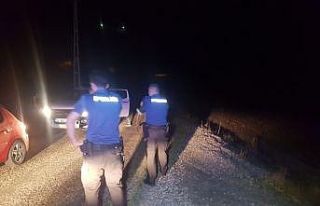 Ormanlık alandan gelen çığlık sesleri ekipleri...