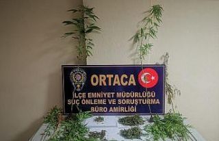 Ortaca’da uyuşturucu operasyonu