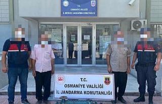 Osmaniye’de bağ ve bahçeden hırsızlık yapan...