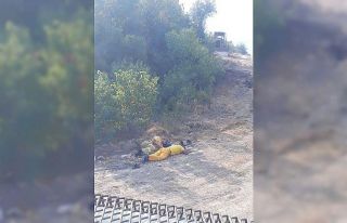 Osmaniye’deki yangına müdahaleye giden ‘Ateş...
