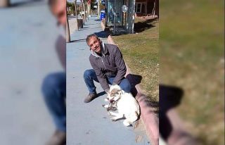 Otomobilin çarptığı yaya 2 gün sonra hayatını...