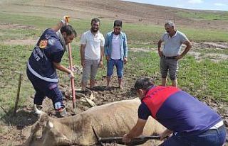 Özalp’ta çamura saplanan büyükbaş hayvan kurtarıldı