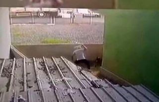 (Özel) Ataşehir’de gözü dönen saldırgan köpeği...