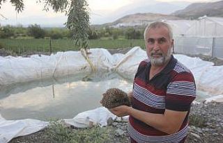 (ÖZEL) Bahçe sulama havuzuna düşen kirpiyi köylüler...