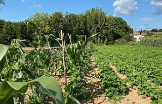 (Özel) Emeklilikte sonra çiftliğinde hobi için...