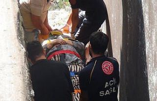 (Özel) İstanbul ilginç olay: Yufka açan kadın...