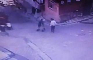 (Özel) İstanbul’da ilginç hırsızlık: “Martıyı”...