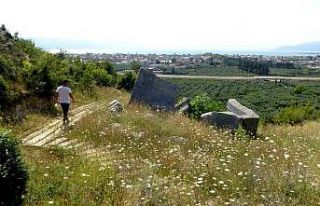 (Özel) Kral mezarı turizme kazandırılmayı bekliyor