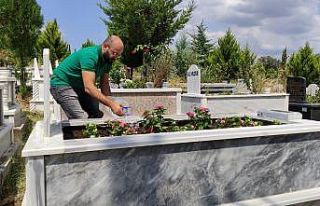 (Özel) Online mezar bakım hizmeti