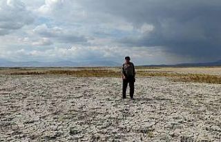 (Özel) Sultan Sazlığı’ndaki Yay Gölü çöle...