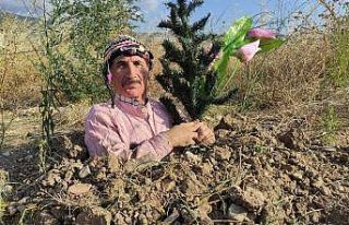 (Özel) Toprağı kazıp kendini diri diri gömdü
