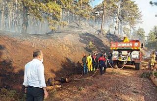 Pamukkale her an teyakkuzda