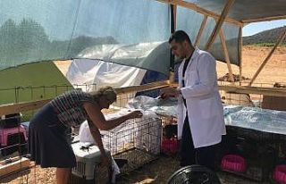 Patibüs yangın bölgelerinde