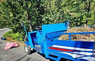 Patpat ağaca çarptı: 1 ölü