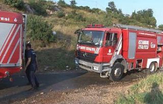Pendik’te kablo yakan şahıs yangına neden oldu