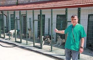 "Petshop’lardan hayvan satın almayın, sahiplenin"...