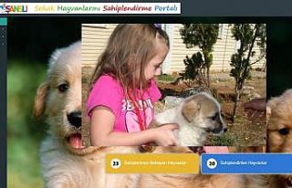 Portalda sevgi bekleyenler