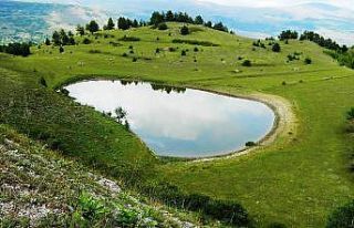 Posof özlenen doğasına Ağustos’ta kavuştu