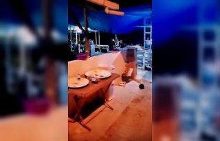 Rastgele ateş açan magandalar tehlike saçtı