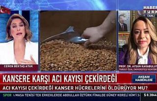 Rektör Karabulut, acı kayısı çekirdeğinin kanser...