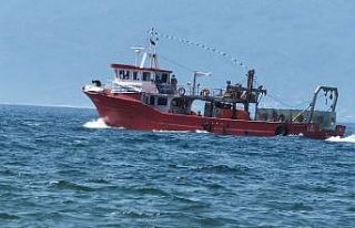 Resifler Edremit Körfezinde balık çeşidini ve...