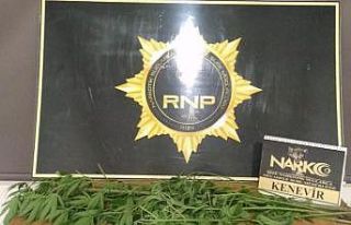 Rize’de 1 ay içerisinde 42 şahıs tutuklanarak...