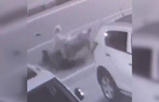 Rize’de sokak köpekleri saldırdıkları kadını...