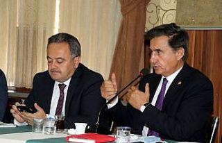 Safran markalaştırılıp dünyaya açılacak