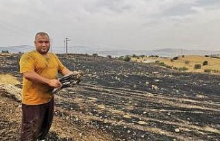 Şahin trafoya çarptı, yangın ormana sıçramadan...