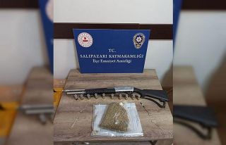 Salıpazarı’nda ‘bonzai’ operasyonu