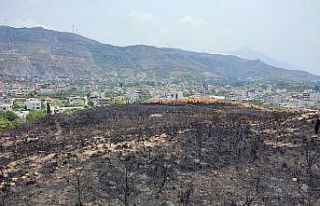 Samandağ’da otluk alanda çıkan yangın kontrol...
