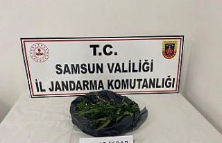 Samsun’da 540 gram kubar esrar ele geçirildi