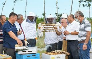 Samsun’da arıcılığa destek