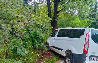 Samsun’da minibüs ağaca çarptı: 2 yaralı