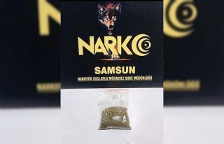 Samsun’da uyuşturucu ticaretine 2 gözaltı