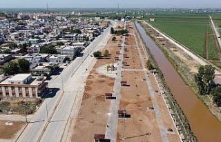Şanlıurfa kırsalında yeşil alan çalışması