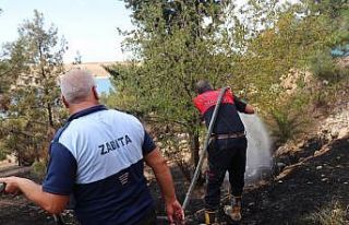 Şanlıurfa’da mesire alanında çıkan yangın...