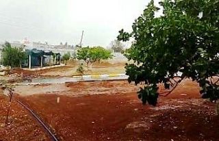 Şanlıurfa’da sel araçları sürükledi