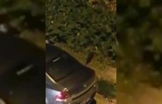 Sansar yolunu şaşırıp şehre indi