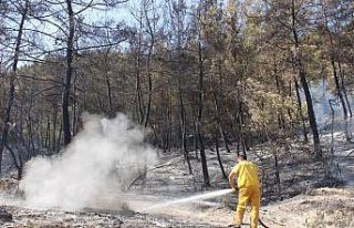 Sarayköy’de 1 dönüm ormanlık alan zarar gördü