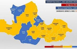 Sarı ilin mavi ilçeleri