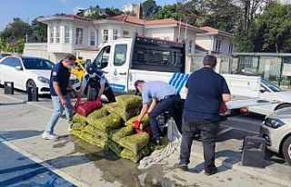 Sarıyer’de kaçak midye avcılarına baskın: “11...
