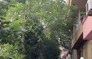 Sarıyer’de kopan elektrik kablosu alev aldı, olası...