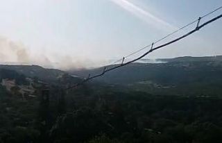 Savaştepe’de orman yangını