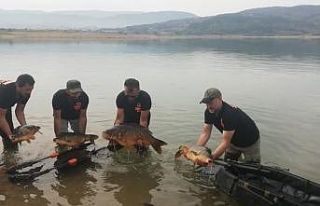 Sazan balığı tutma yarışı 6 Eylül’de başlayacak