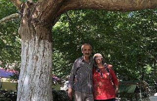 Şehir’den kaçıp ormana yerleştiler, şimdi huzurun...