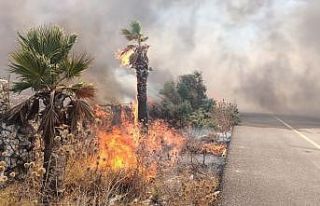 Seka’da çıkan yangın korkuttu