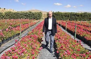 Selçuklu yeşil dokuya fidanlığıyla katkı sağlıyor