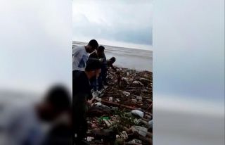 Selde mahsur kalan köpeği el ele zincir yaparak...